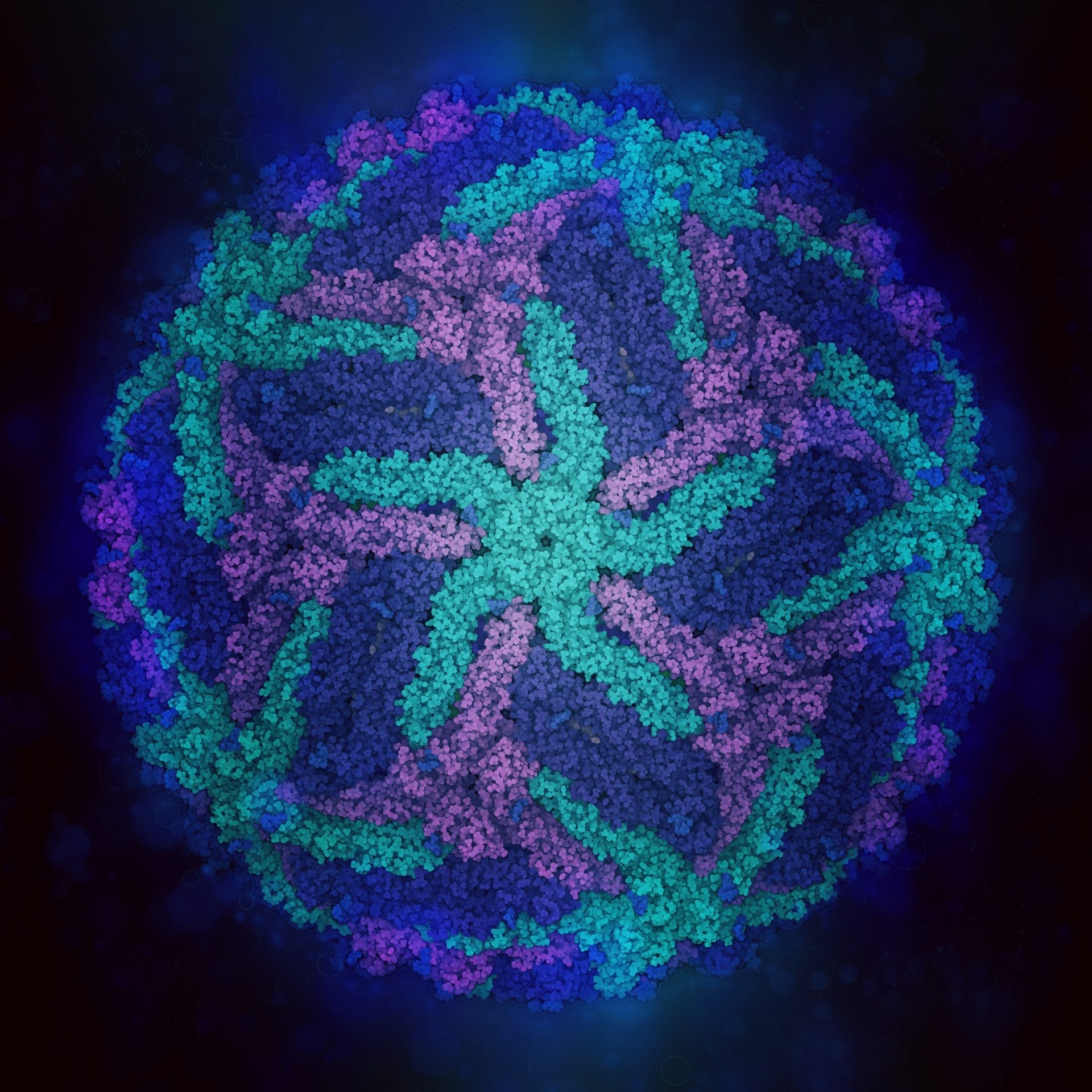 Zika virus. Atomic level structure, 3D illustration.